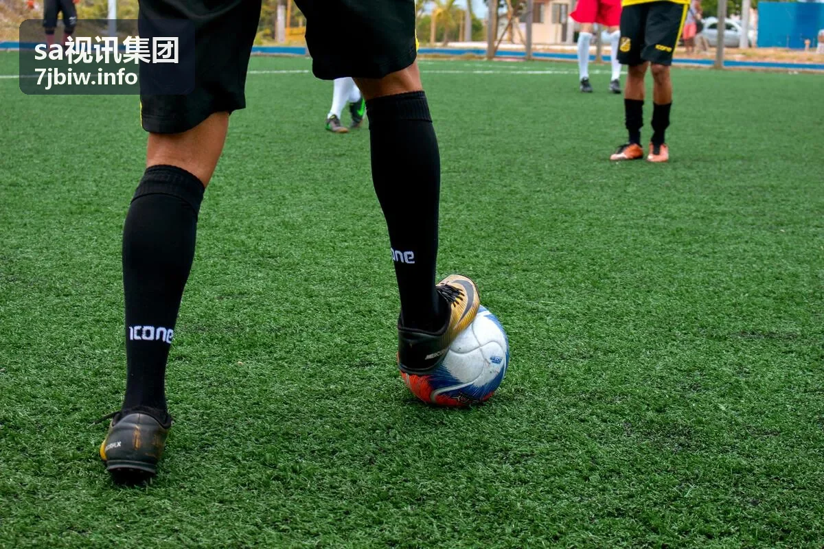 sa视讯集团系列电影连播精选封面